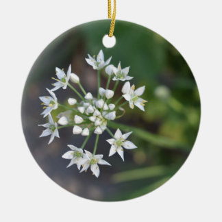 Adorno De Cerámica Flores Blancas Delicadas Florales en la Naturaleza