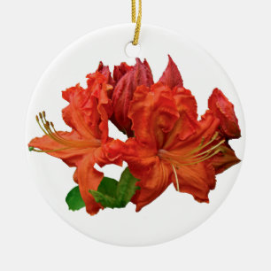 Adorno De Cerámica Flores de Azalea Naranja