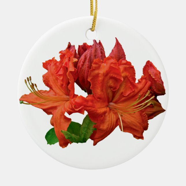 Adorno De Cerámica Flores de Azalea Naranja (Frente)