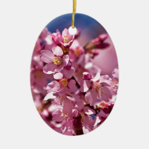 Adorno De Cerámica Flores de Cerezo Sakura Besadas por la Luz del Sol