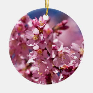 Adorno De Cerámica Flores de Cerezo Sakura Besadas por la Luz del Sol