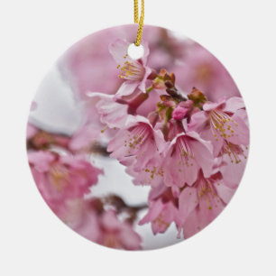 Adorno De Cerámica Flores de cerezo Sakura Rosa Pálido
