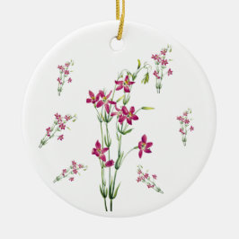Adorno De Cerámica Flores de época - Centaurium por Mary Vaux Walcott