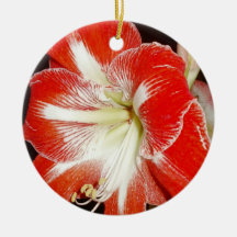 Flores de fe 2 Corinthians Amaryllis Ornament