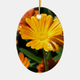Adorno De Cerámica Flores de Flor de Amarelo Arte Paz Amor Destino