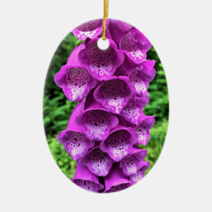 Adorno De Cerámica Flores de Foxglove, Oregón