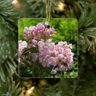 Adorno De Cerámica Flores de Laurel de Montaña Rosado