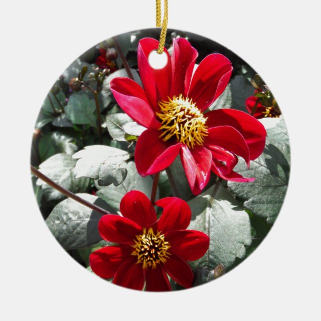 Adorno De Cerámica flores de margarita rosada roja / margarita (Frente)