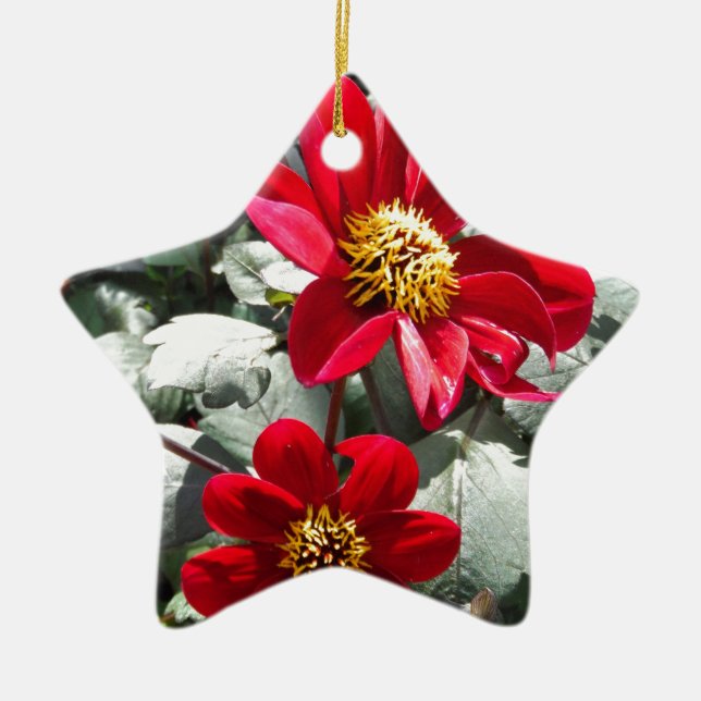 Adorno De Cerámica flores de margarita rosada roja / margarita (Frente)