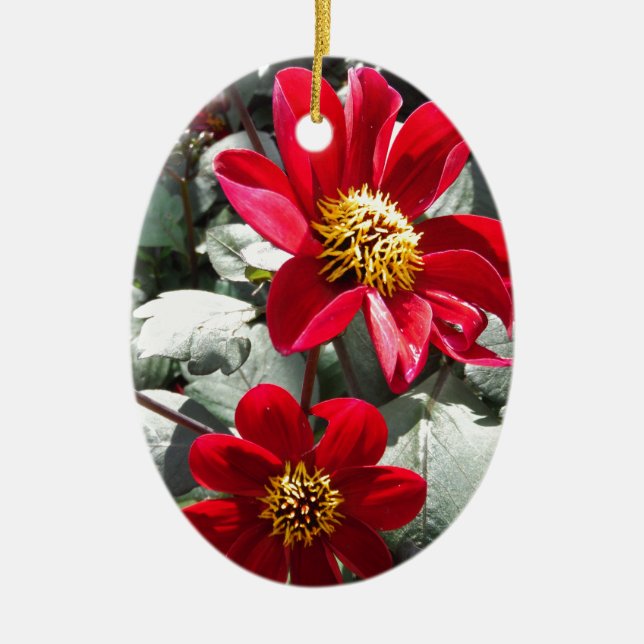 Adorno De Cerámica flores de margarita rosada roja / margarita (Frente)