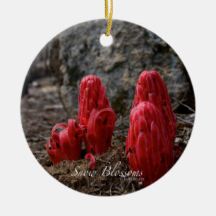 Adorno De Cerámica Flores de nieve