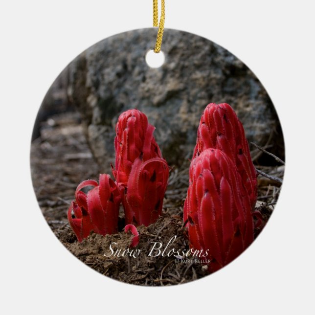 Adorno De Cerámica Flores de nieve (Frente)