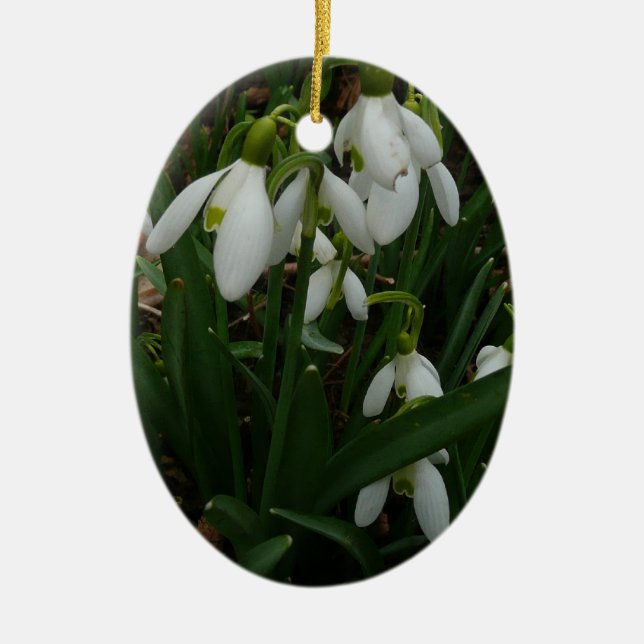 Adorno De Cerámica Flores de Primavera Blanca (Galanthus) (Frente)