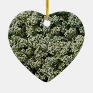 Adorno De Cerámica Flores dulces de alyssum florales blancas