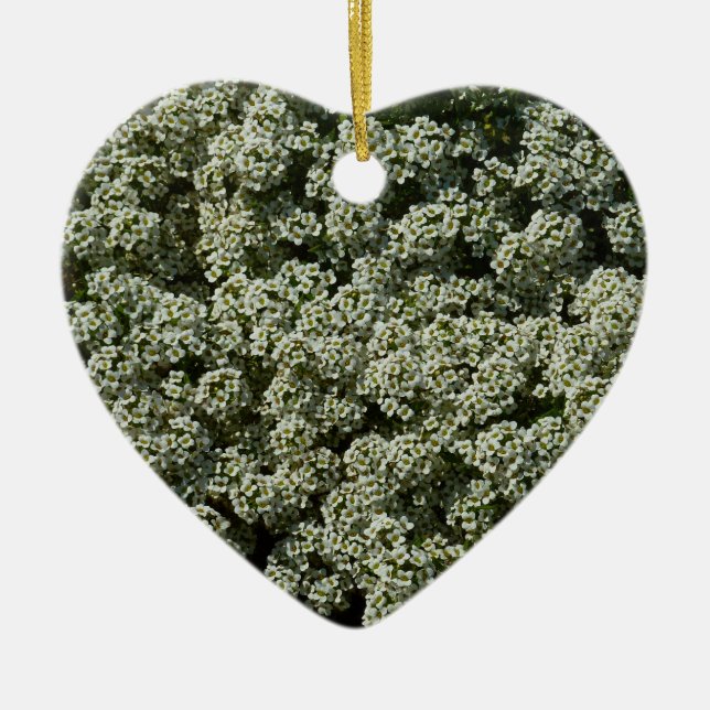 Adorno De Cerámica Flores dulces de alyssum florales blancas (Frente)