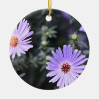 Flores moradas Verano naturaleza fotografía floral