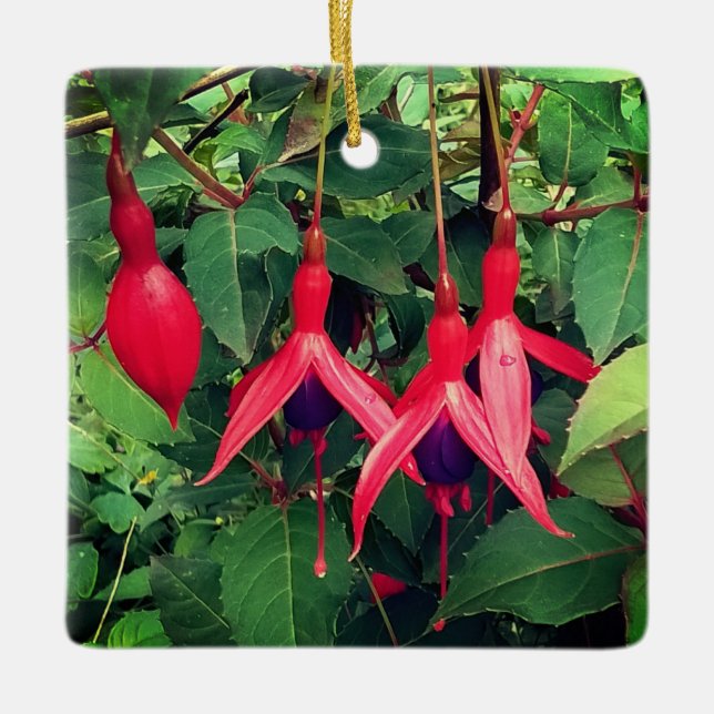 Adorno De Cerámica Flores rojas (Anverso)