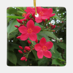 Adorno De Cerámica Flores rojas de Jatropha