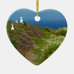 Adorno De Cerámica Flores y gaviotas en la isla Anacapa