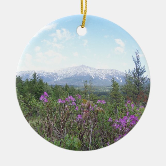 Adorno De Cerámica Flores y la montaña (Frente)