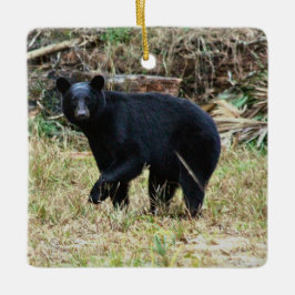 Adorno De Cerámica Florida Black Bear