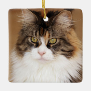 Adorno De Cerámica Fluffy Maine Coon Cat