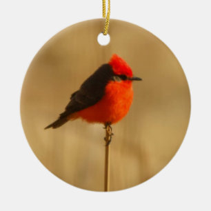Adorno De Cerámica Flycatcher bermellón