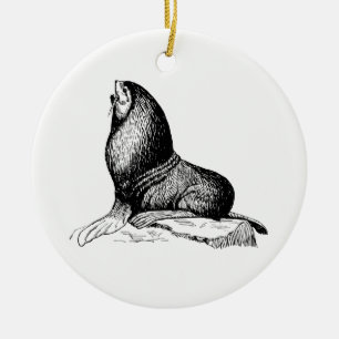 Adorno De Cerámica Foca