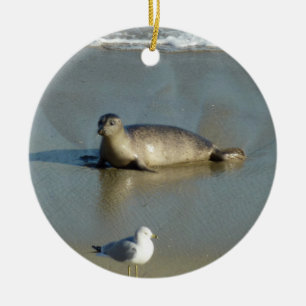 Adorno De Cerámica Foca común en La Jolla California