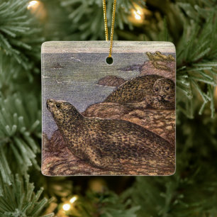 Adorno De Cerámica Focas, Vida Marina Antigua Animales del Océano