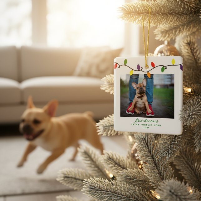 Adorno De Cerámica Forever Home First Christmas Mascota Rescue Photo (Forever Home First Christmas Pet Rescue Photo Ceramic Ornament)