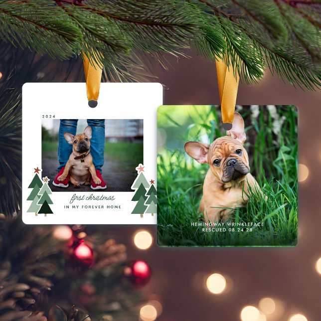 Adorno De Cerámica Forever Home First Christmas Mascota Rescue Photo (Forever Home First Christmas Pet Rescue Photo Ceramic Ornament)
