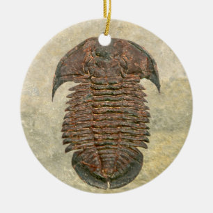 Adorno De Cerámica Fósil Trilobite de Yuepingia