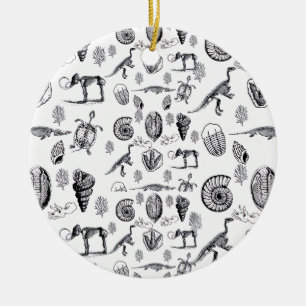 Adorno De Cerámica Fósiles