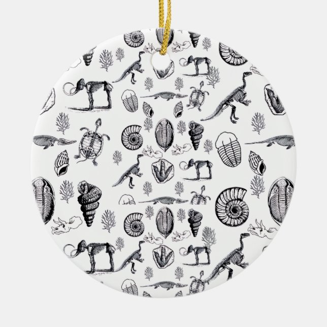 Adorno De Cerámica Fósiles (Frente)