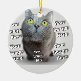 Adorno De Cerámica Foto asombrosa de ave de gato canino