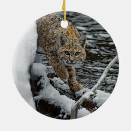 Adorno De Cerámica Foto de agua de nieve Bobcat