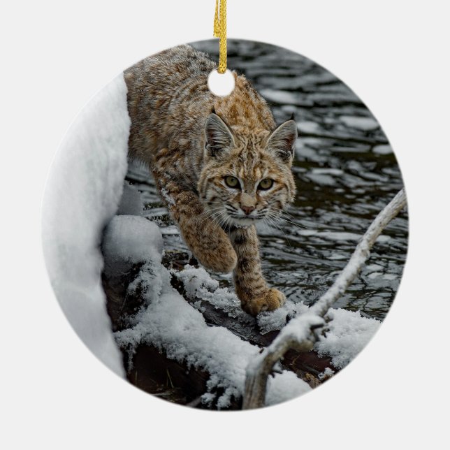 Adorno De Cerámica Foto de agua de nieve Bobcat (Atrás)