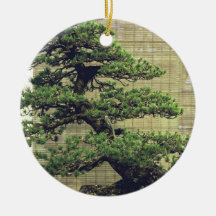 Foto de árbol Bonsai de pino blanco japonés