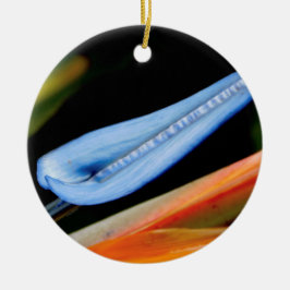 Adorno De Cerámica Foto de Ave del Paraíso