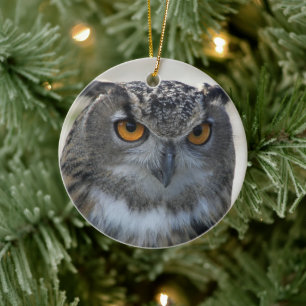Adorno De Cerámica Foto de Búho Real Eurasiático Navideño