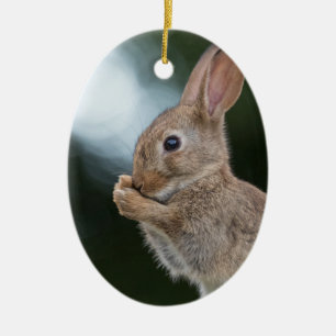 Adorno De Cerámica Foto de conejo de naturaleza
