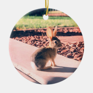 Adorno De Cerámica foto de conejo de Pascua de primavera