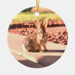 Adorno De Cerámica foto de conejo de Pascua de primavera