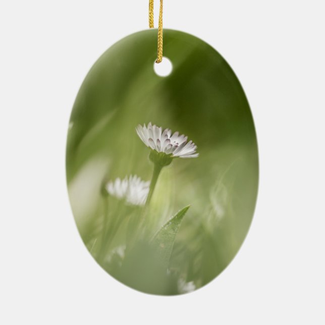 Adorno De Cerámica Foto de Daisy Nature (Atrás)