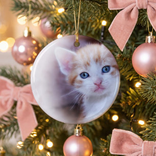 Adorno De Cerámica Foto de Gatito Adorable 1