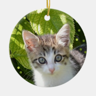 Adorno De Cerámica Foto de gatito tabby personalizada