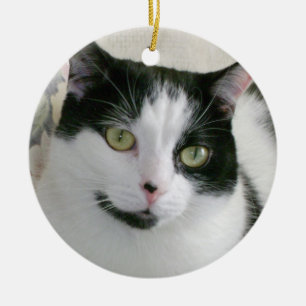 Adorno De Cerámica Foto de gato