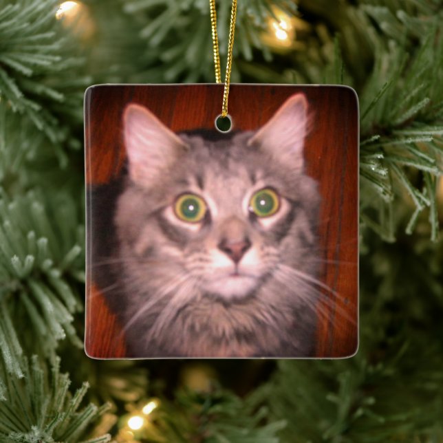 Adorno De Cerámica Foto de gato (Árbol)