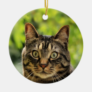 Adorno De Cerámica Foto de gato atigrado marrón personalizada